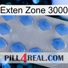 Exten Zone 3000 21